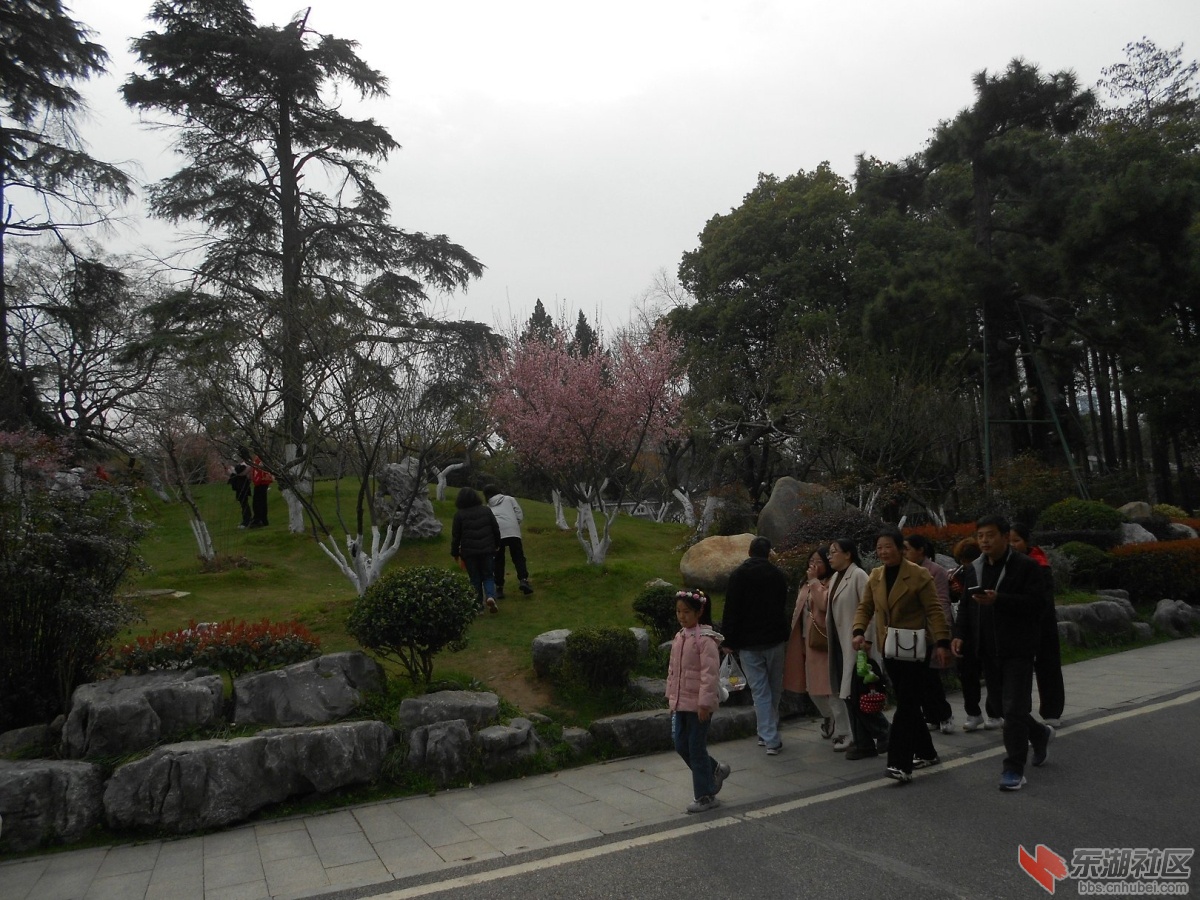 DSCN0551.JPG