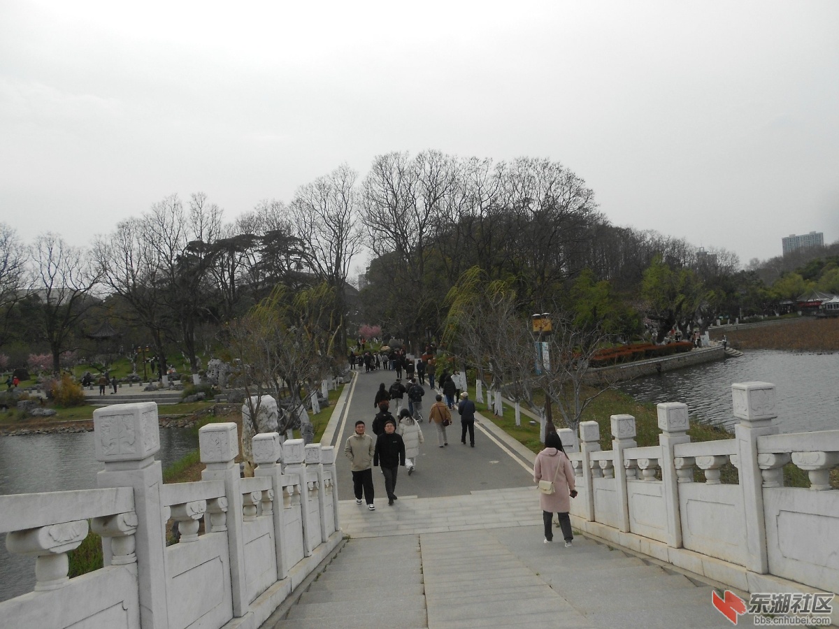 DSCN0550.JPG