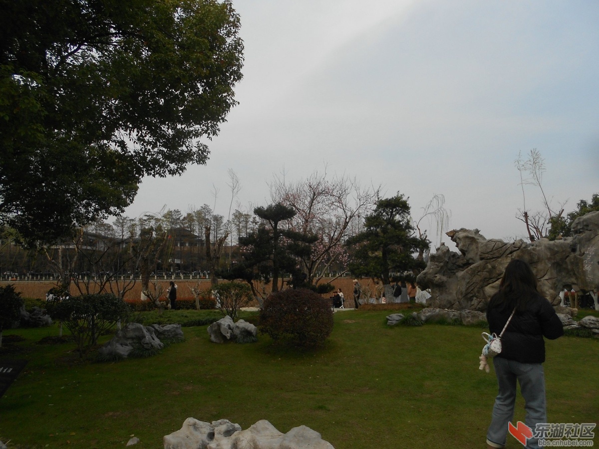 DSCN0553.JPG