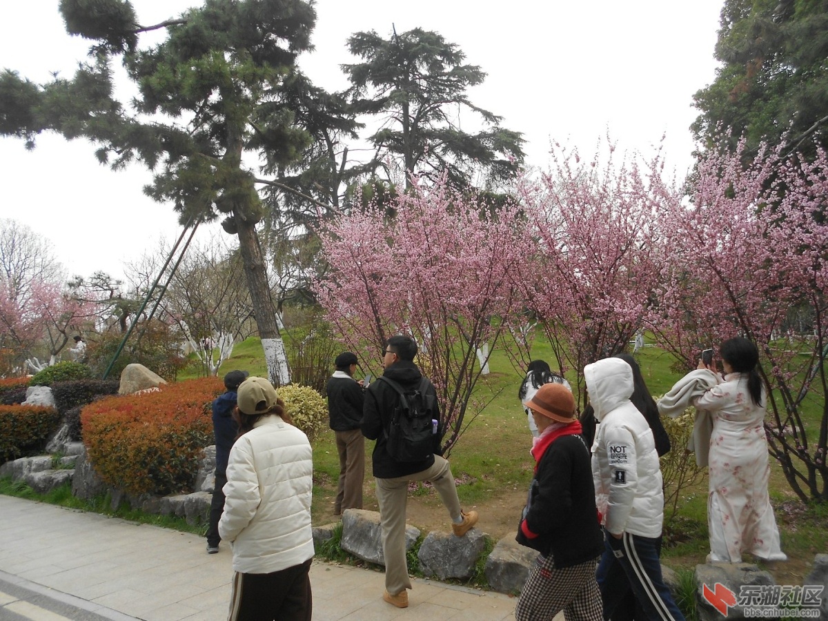 DSCN0556.JPG