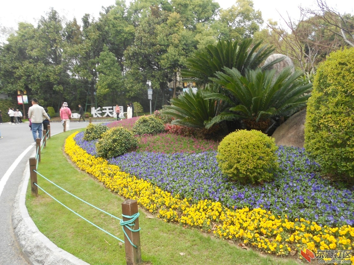 DSCN0560.JPG