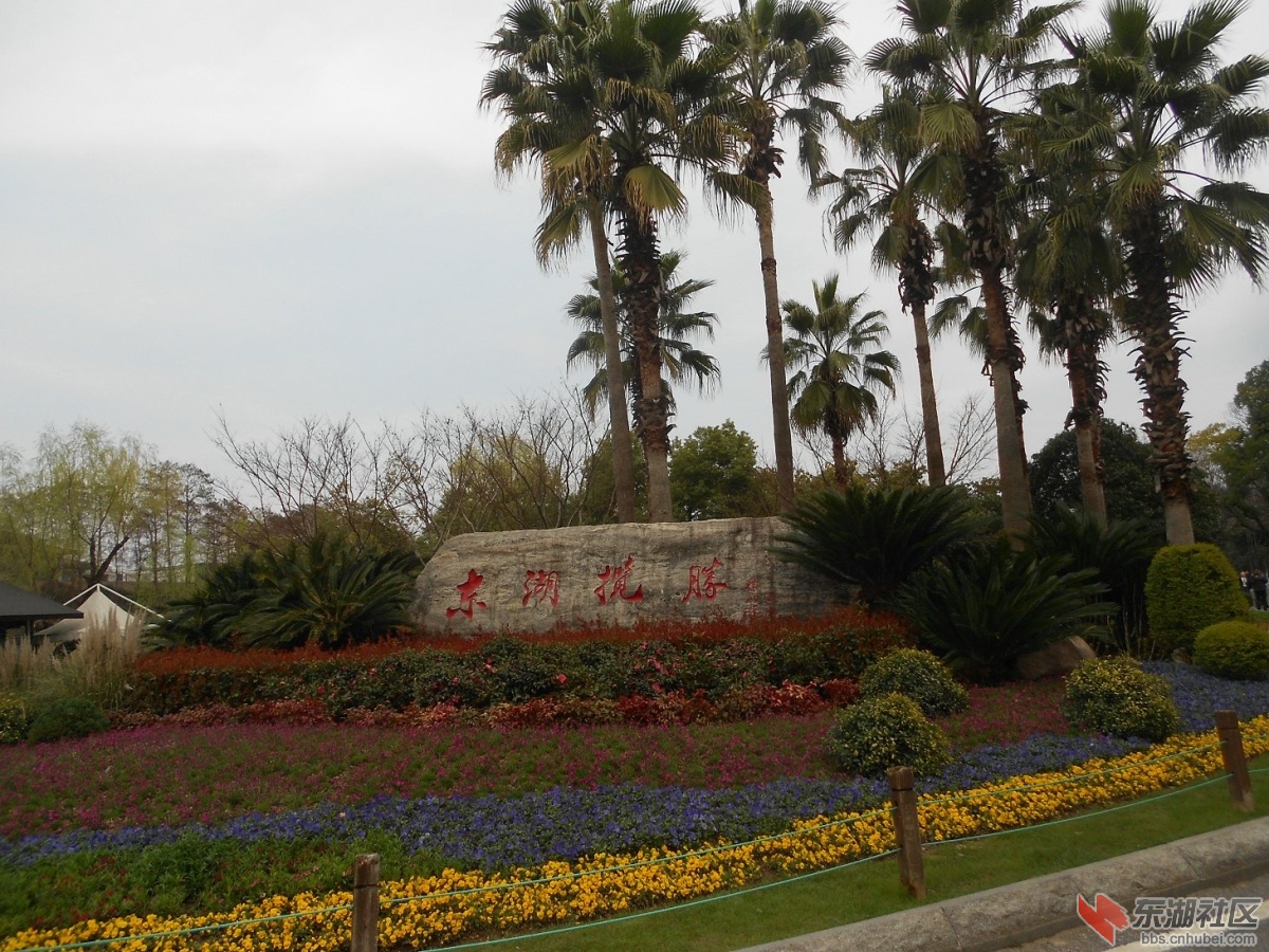 DSCN0562.JPG
