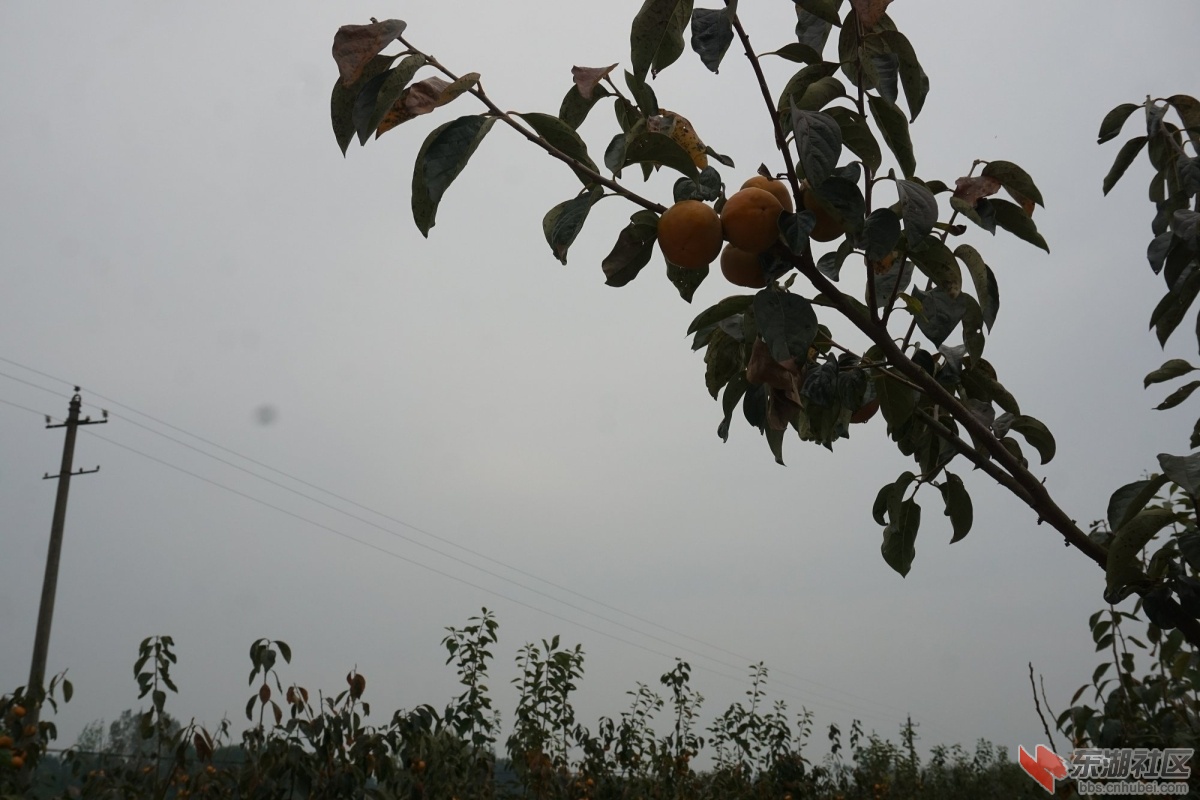 DSC09214.JPG