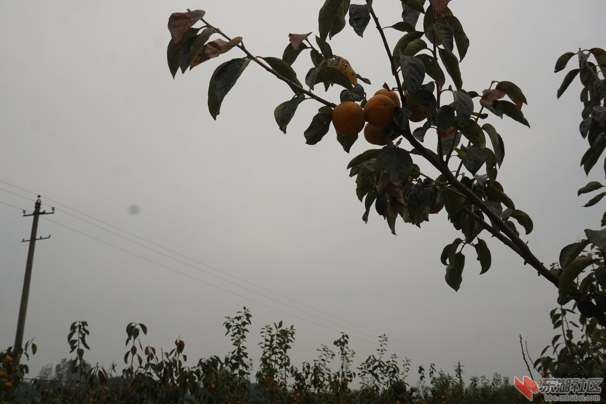 DSC09216.JPG