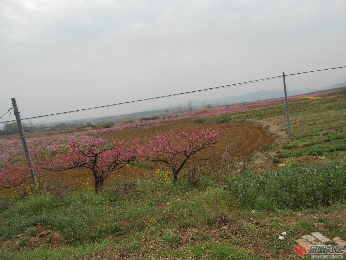 DSCN0933.JPG