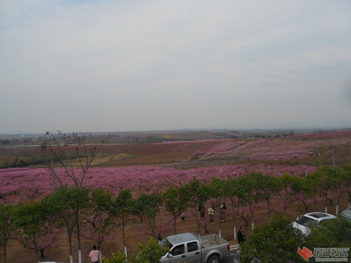 DSCN0935.JPG