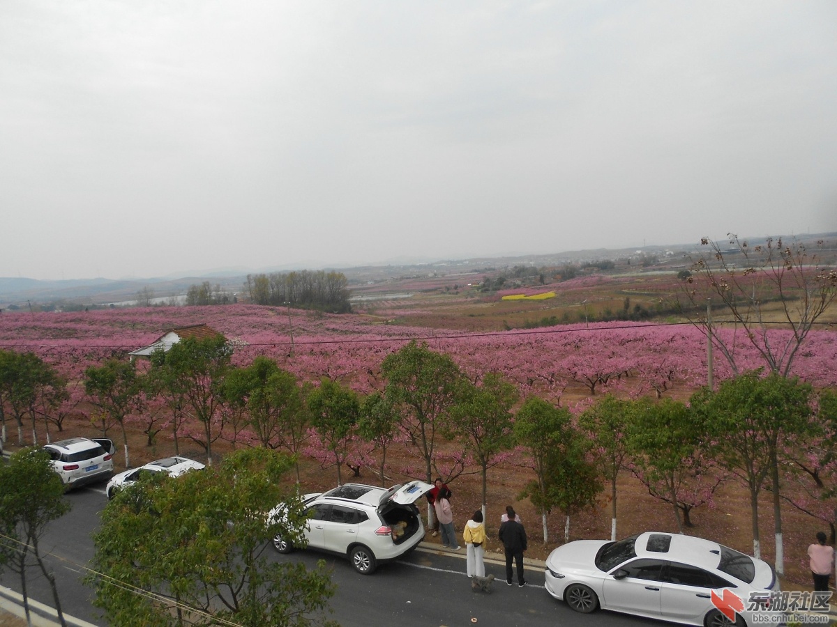 DSCN0936.JPG