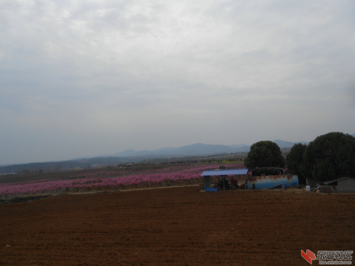 DSCN0939.JPG