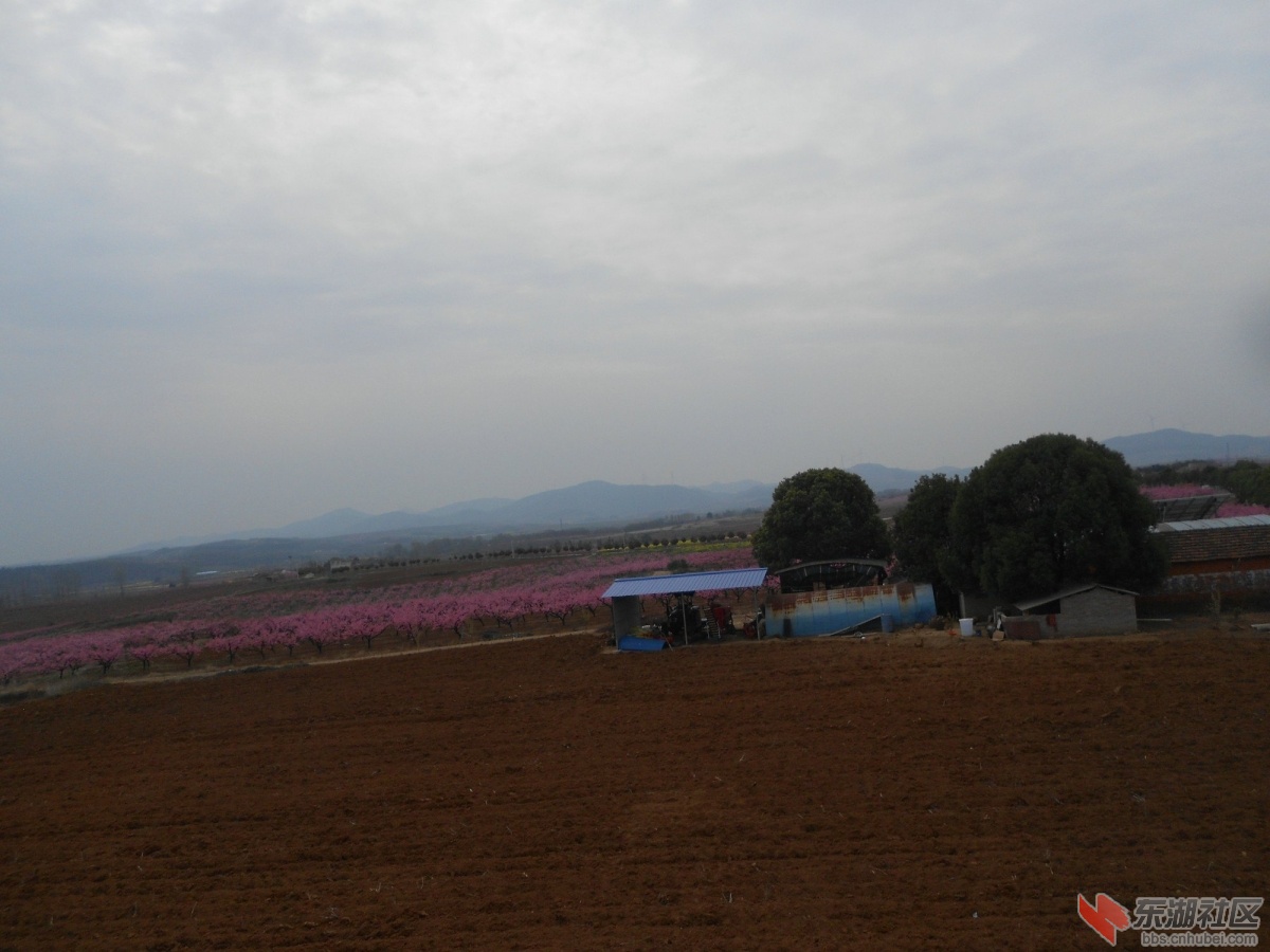 DSCN0940.JPG