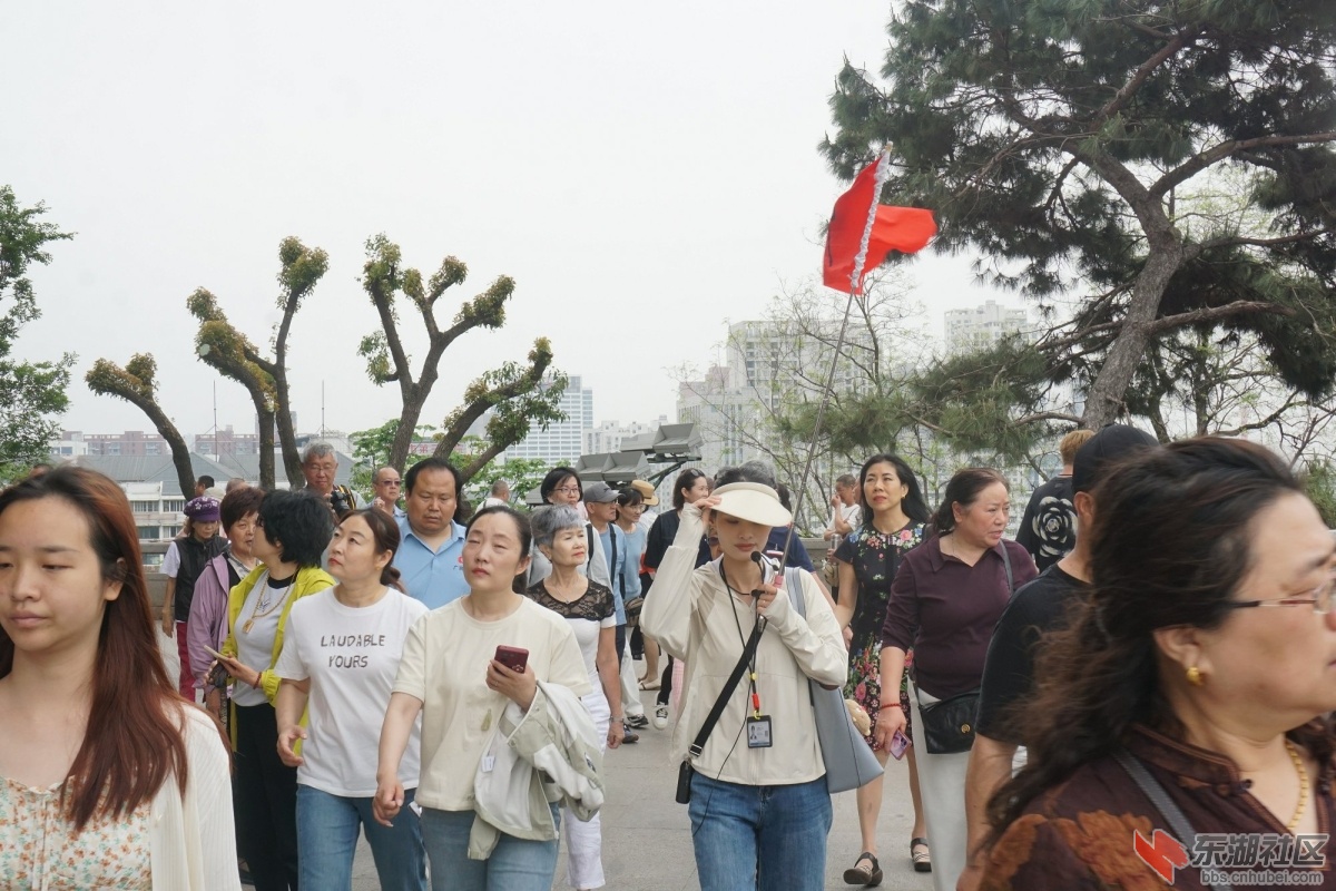 DSC02704.JPG