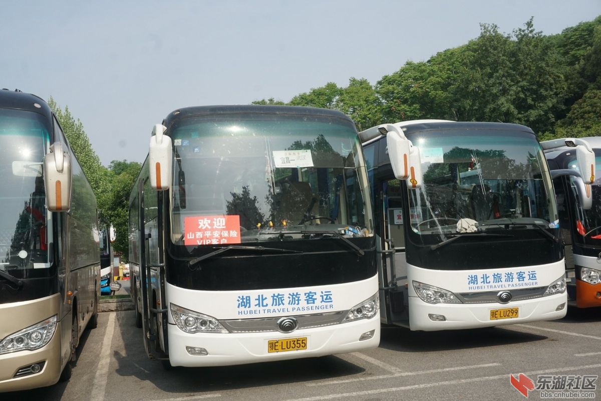 DSC03540.JPG