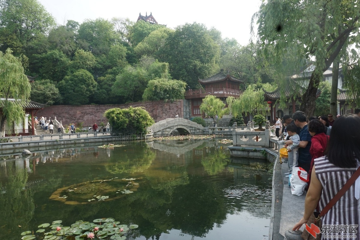 DSC03705.JPG
