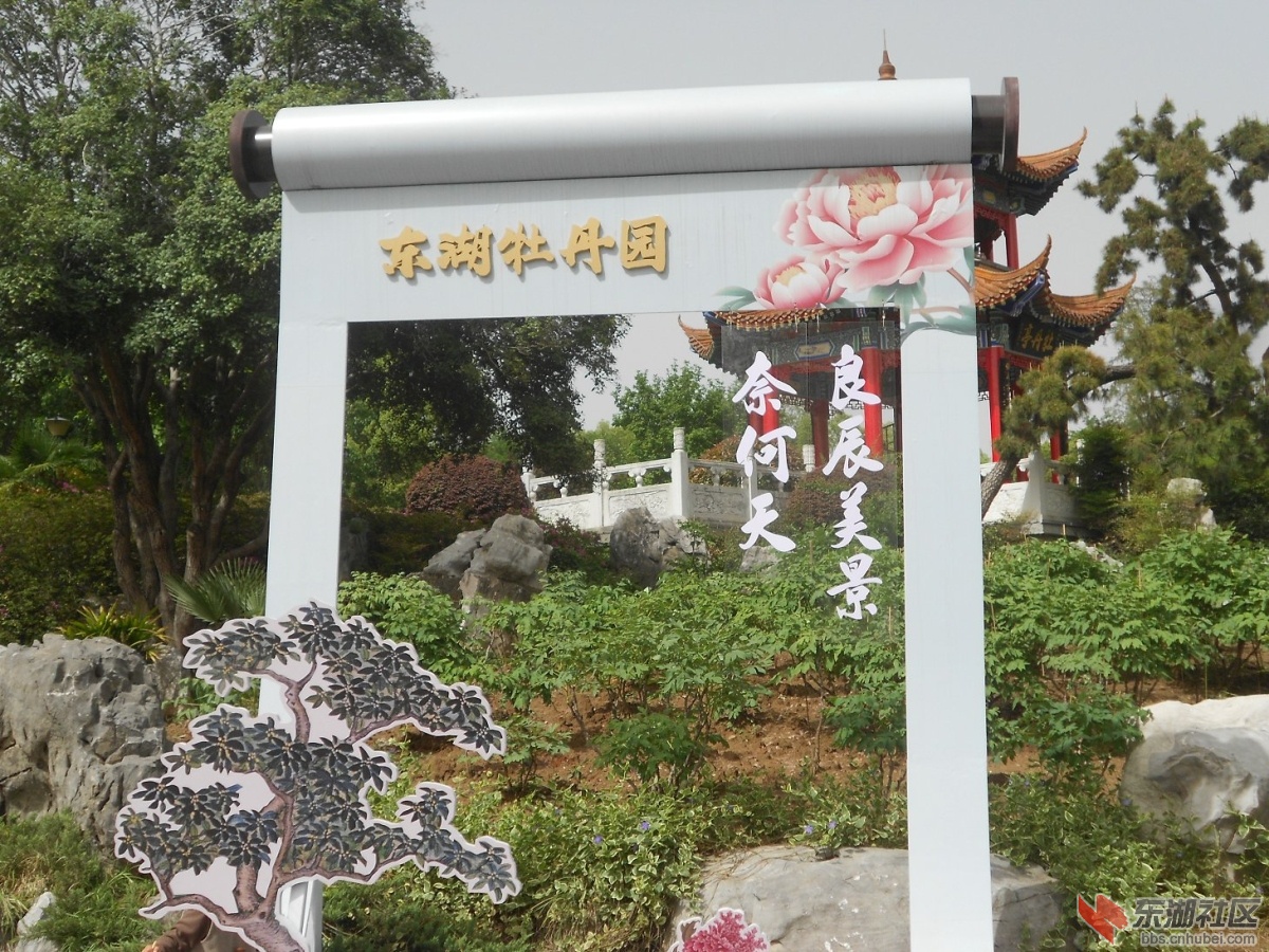 DSCN1560.JPG