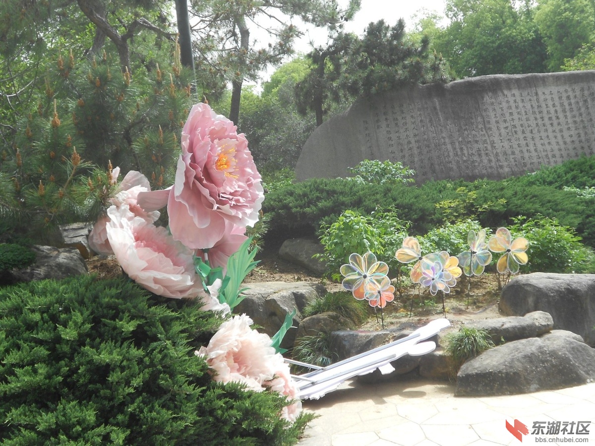 DSCN1519.JPG