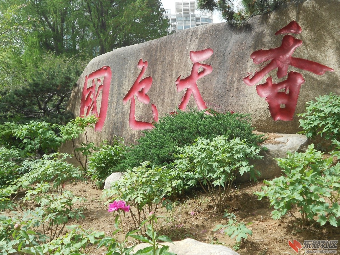 DSCN1522.JPG