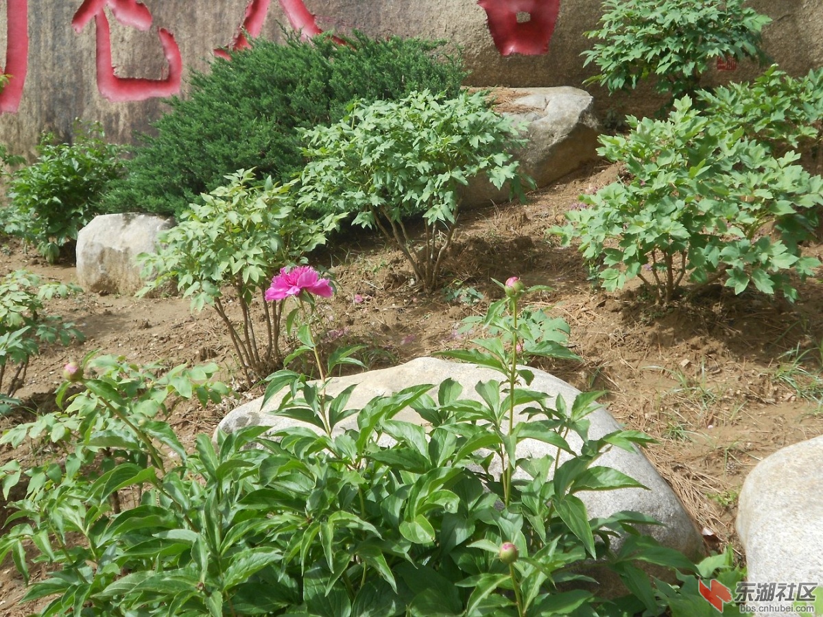 DSCN1523.JPG