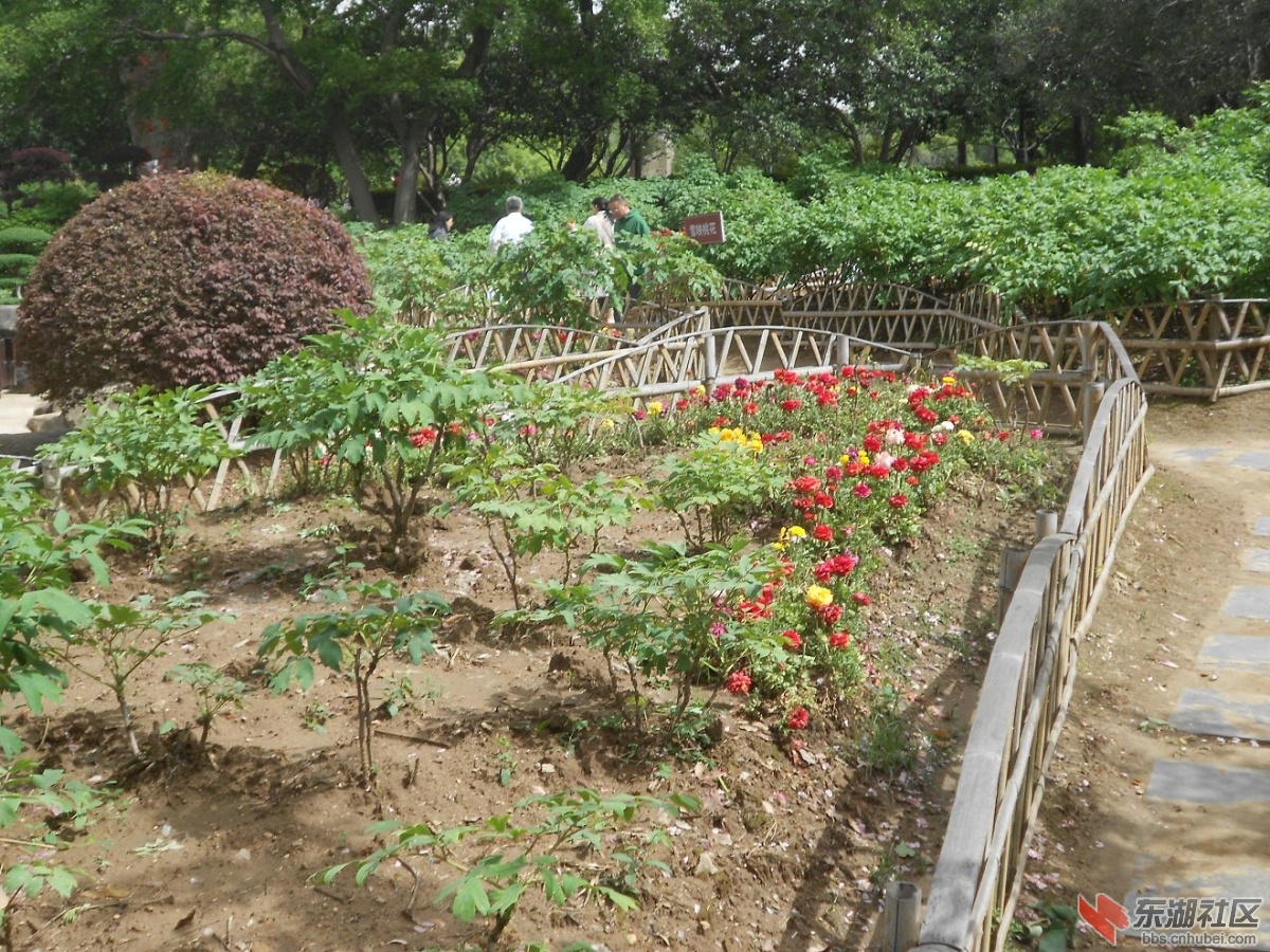 DSCN1531.JPG