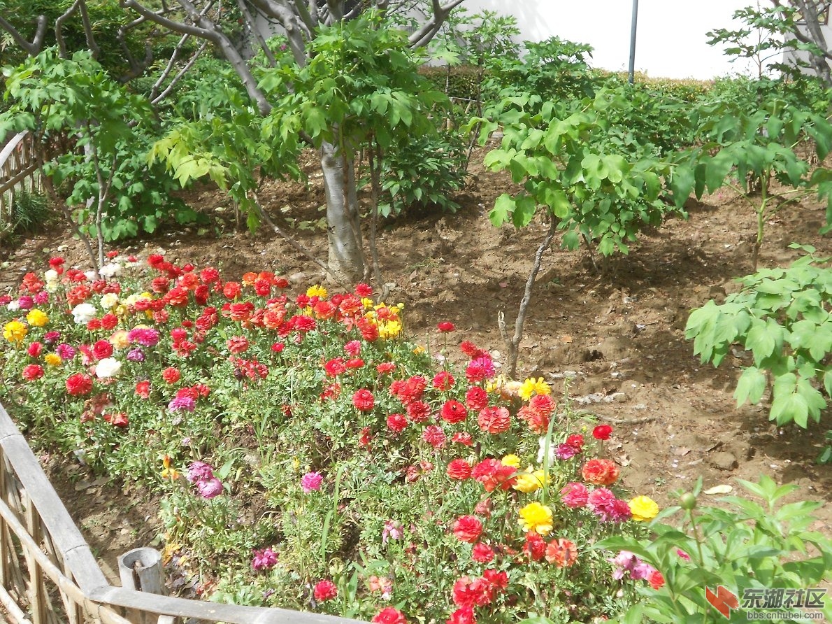 DSCN1525.JPG