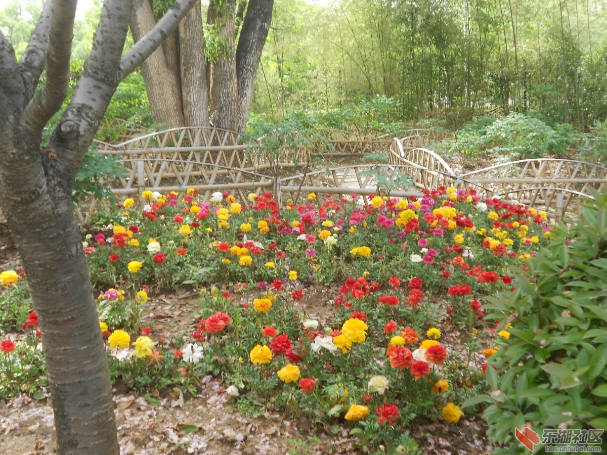 DSCN1542.JPG