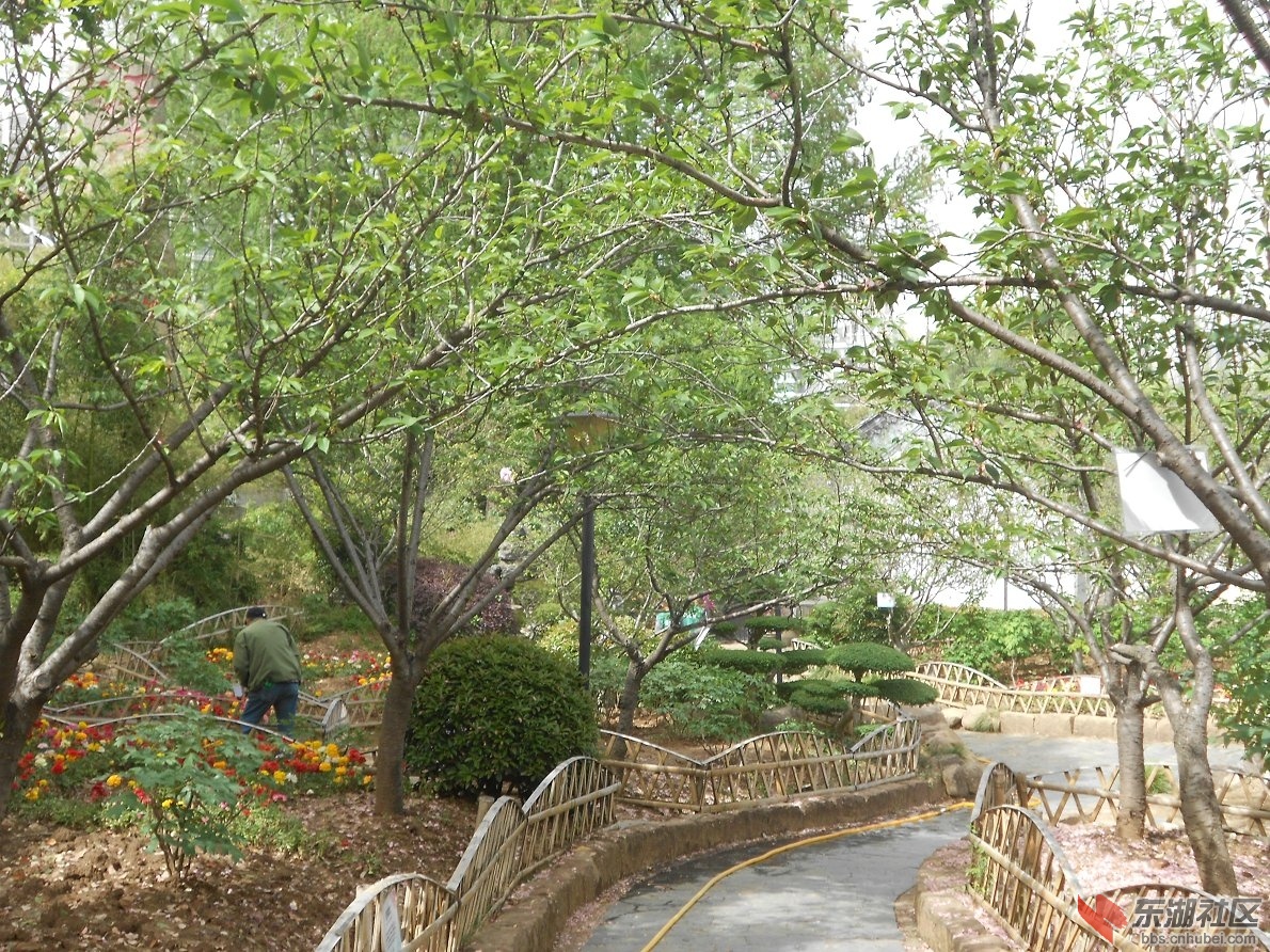DSCN1543.JPG