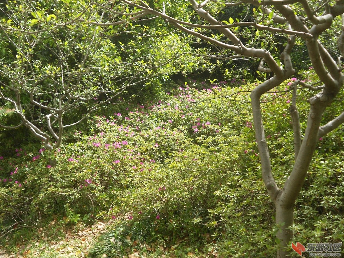 DSCN1547.JPG