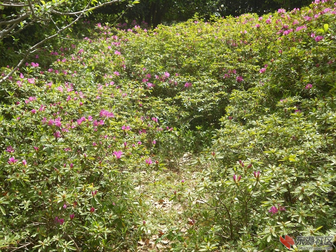 DSCN1549.JPG