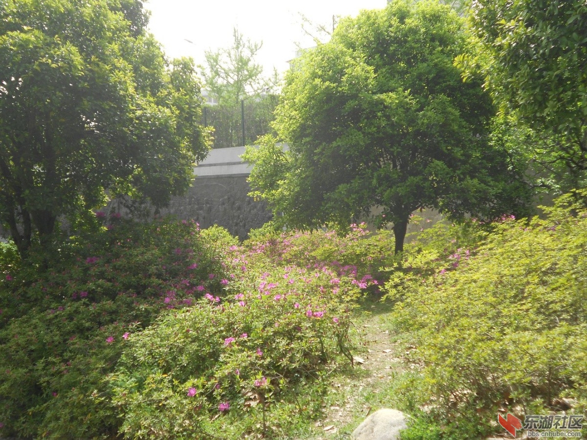 DSCN1551.JPG