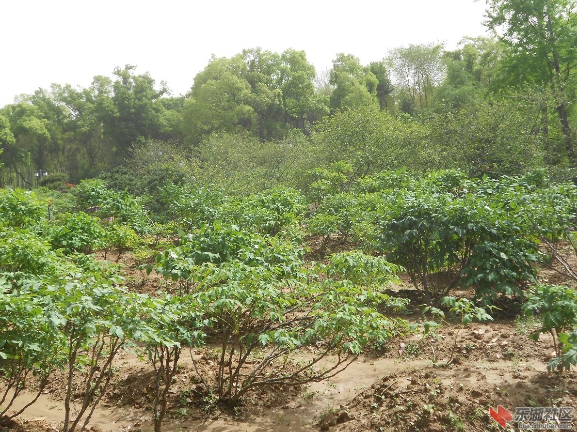 DSCN1552.JPG