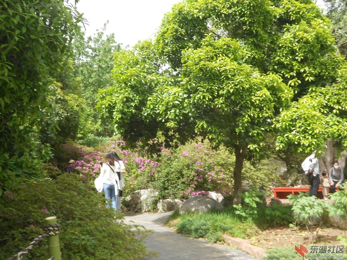 DSCN1555.JPG