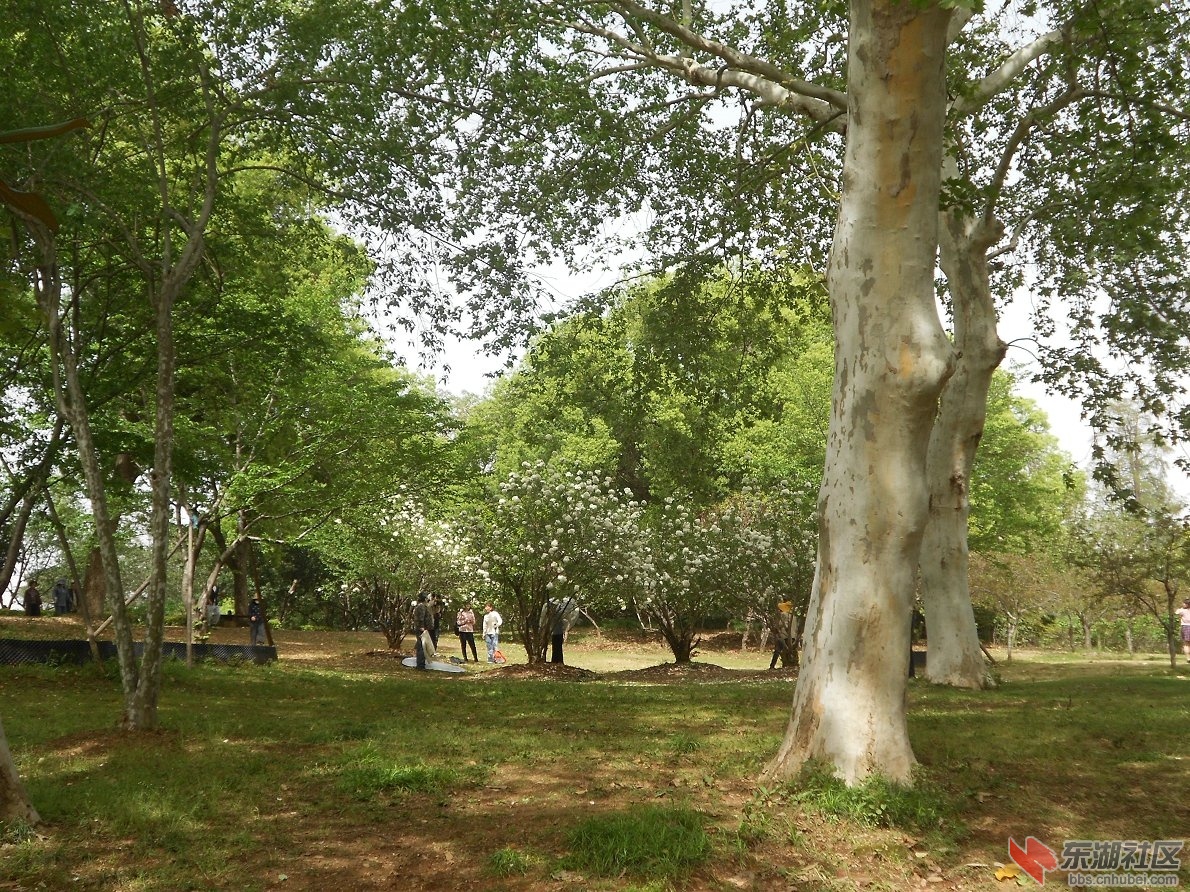 DSCN1553.JPG