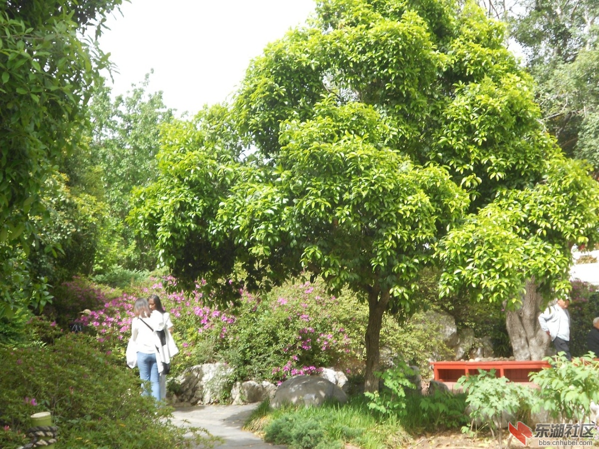 DSCN1556.JPG