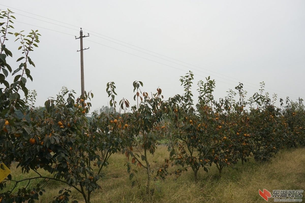 DSC09217.JPG