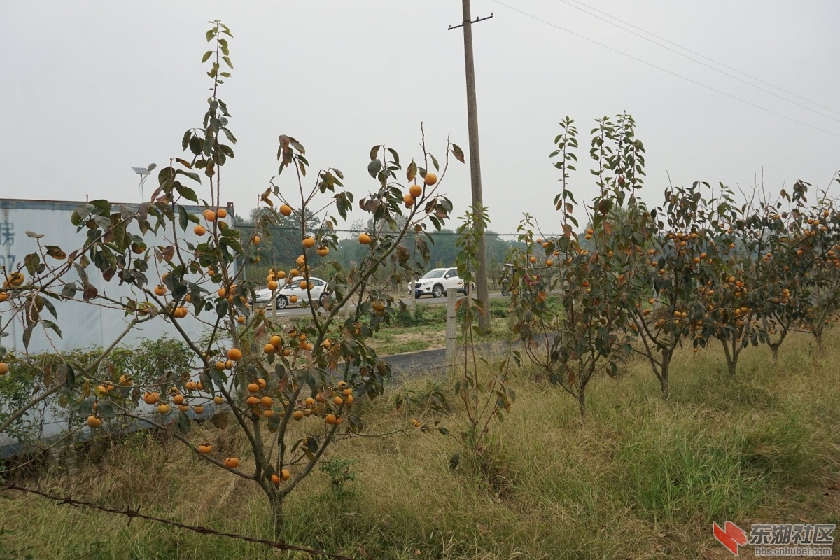 DSC09223.JPG