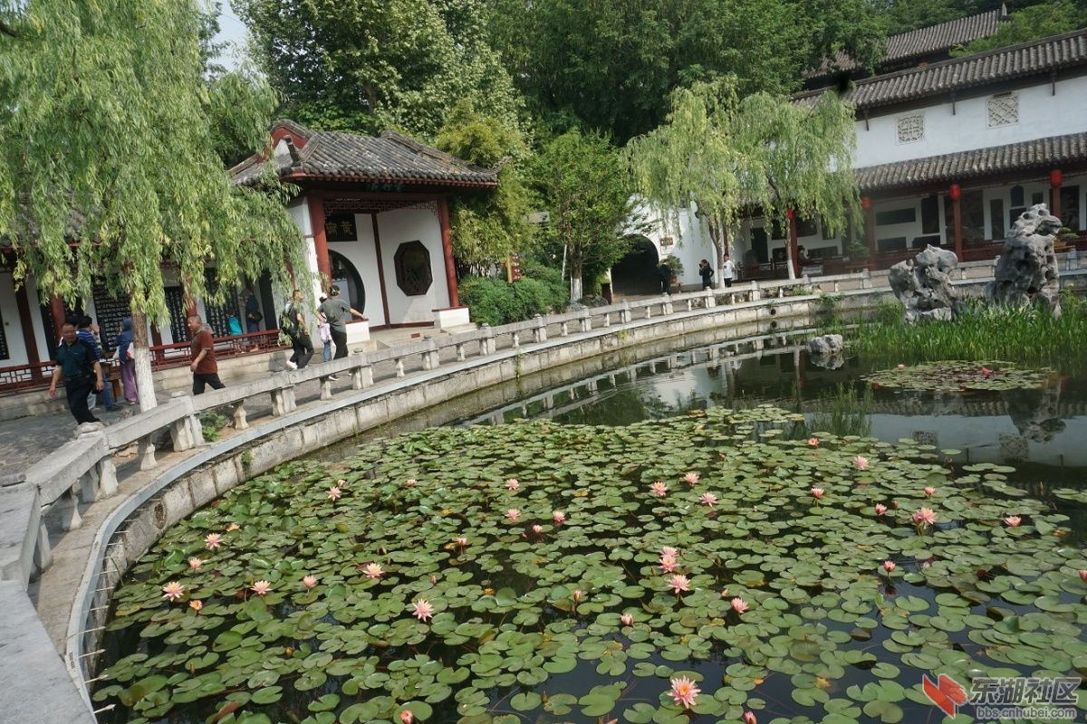 DSC03720.JPG