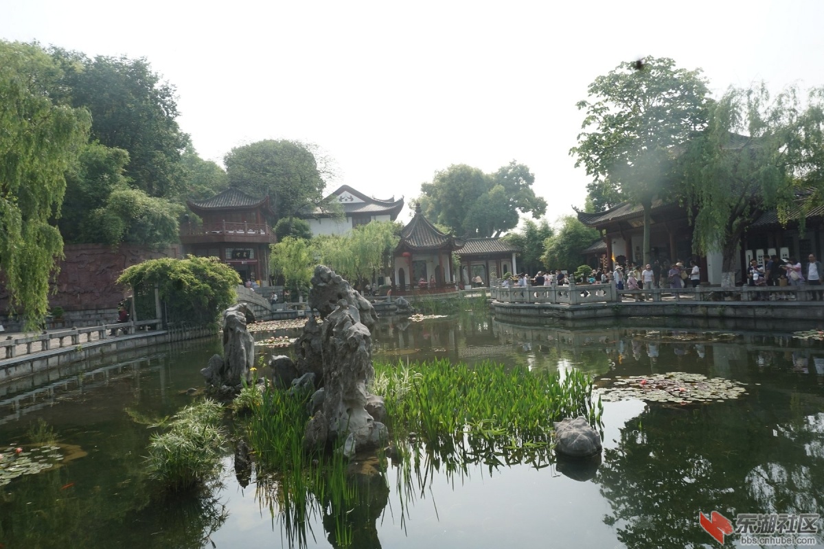 DSC03750.JPG
