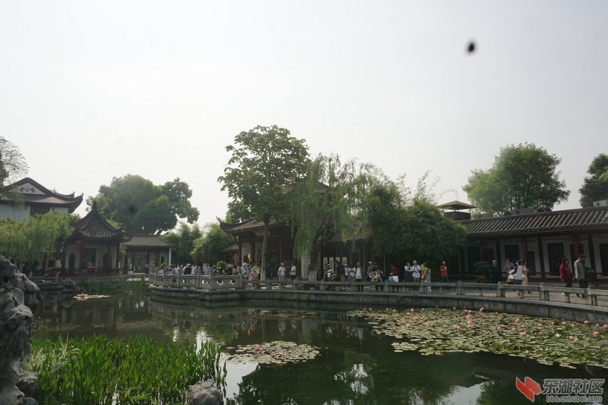 DSC03758.JPG