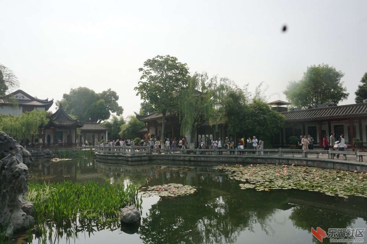 DSC03755.JPG