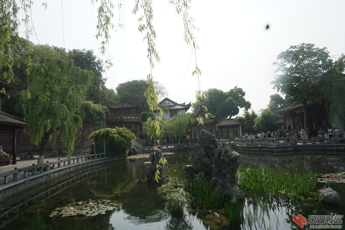 DSC03768.JPG