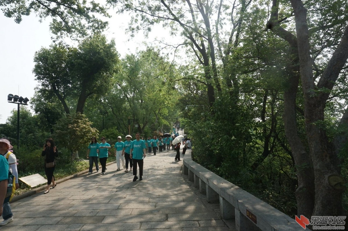 DSC03795.JPG