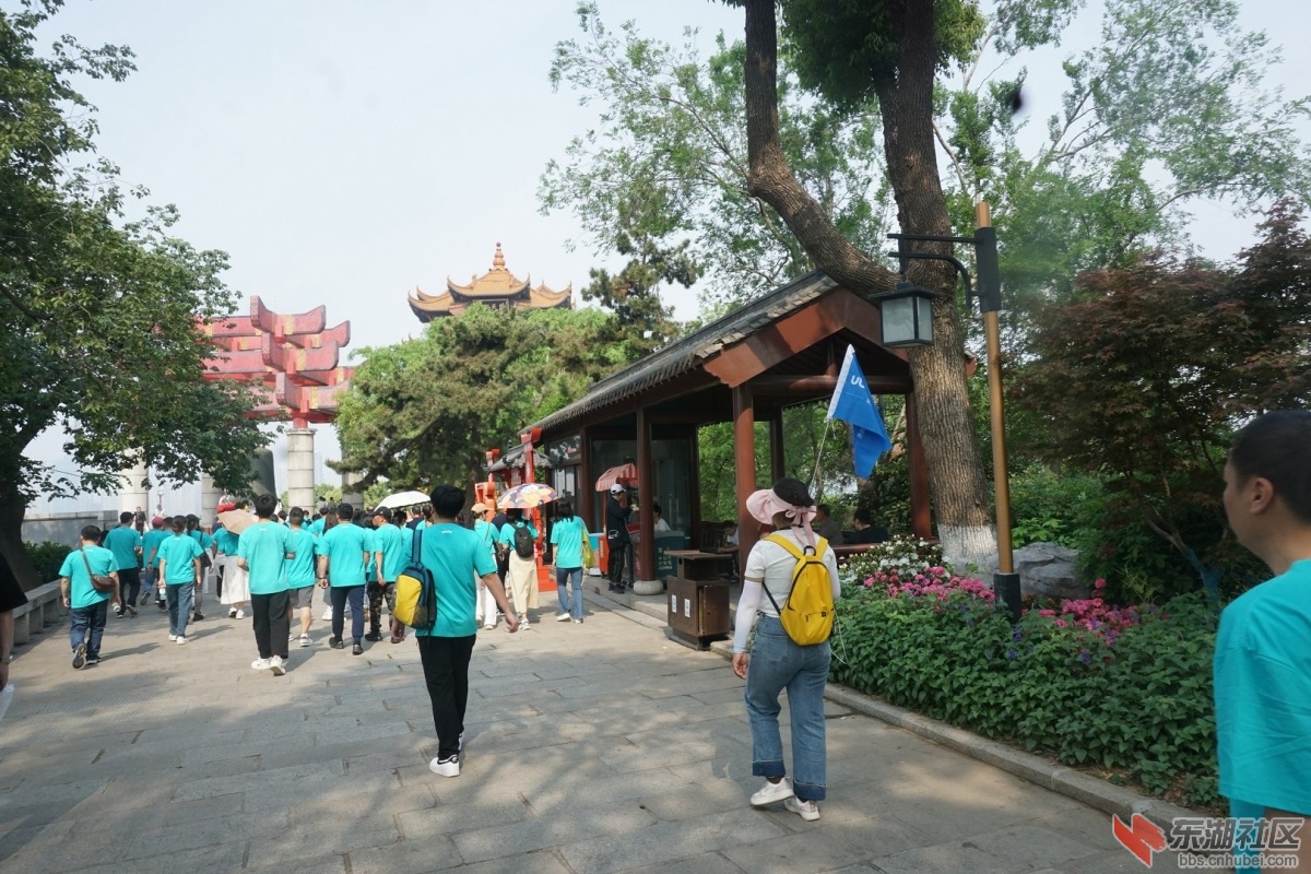 DSC03805.JPG