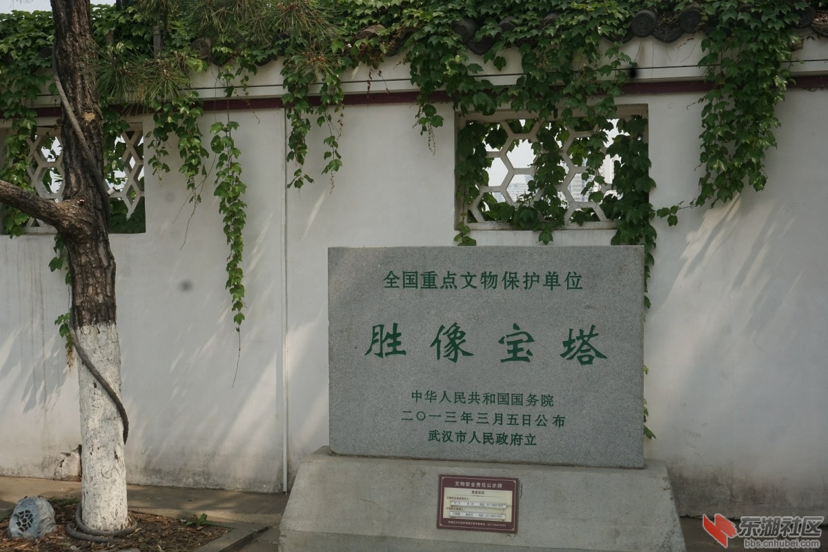 DSC04787.JPG