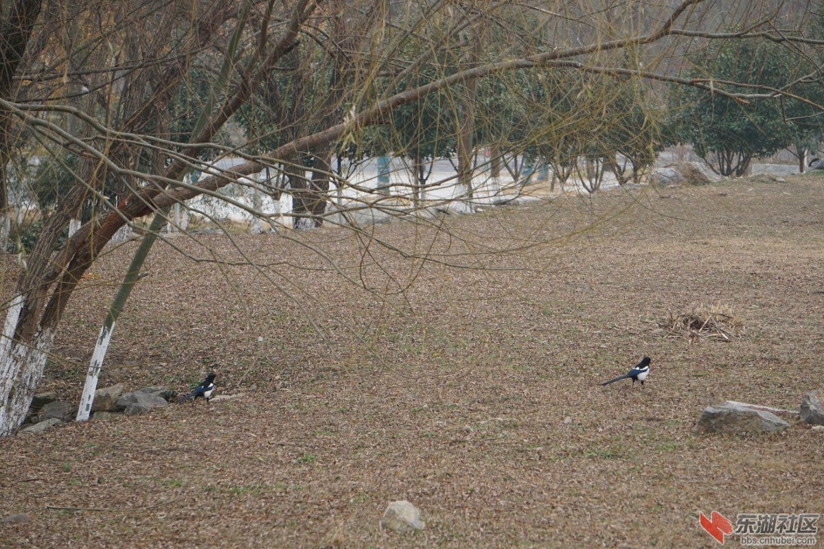 DSC03907.JPG