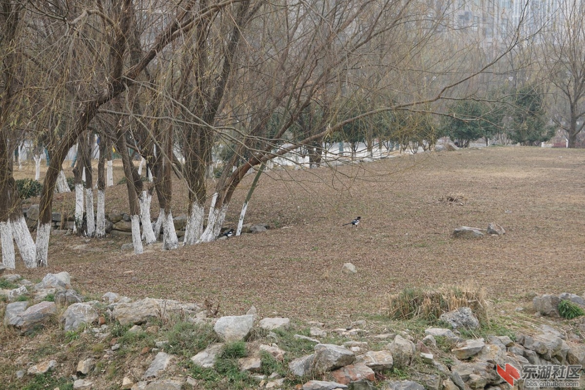 DSC03905.JPG