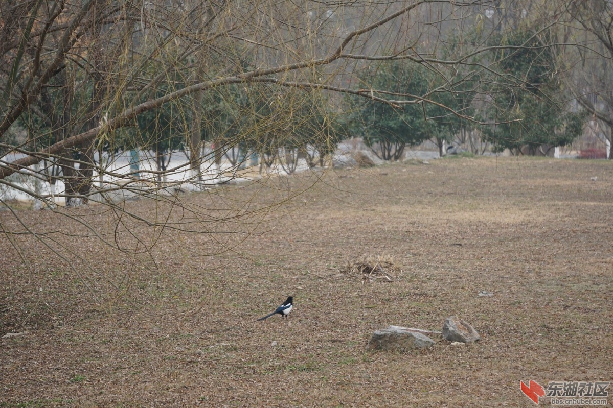 DSC03906.JPG