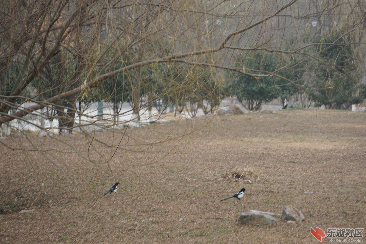 DSC03909.JPG