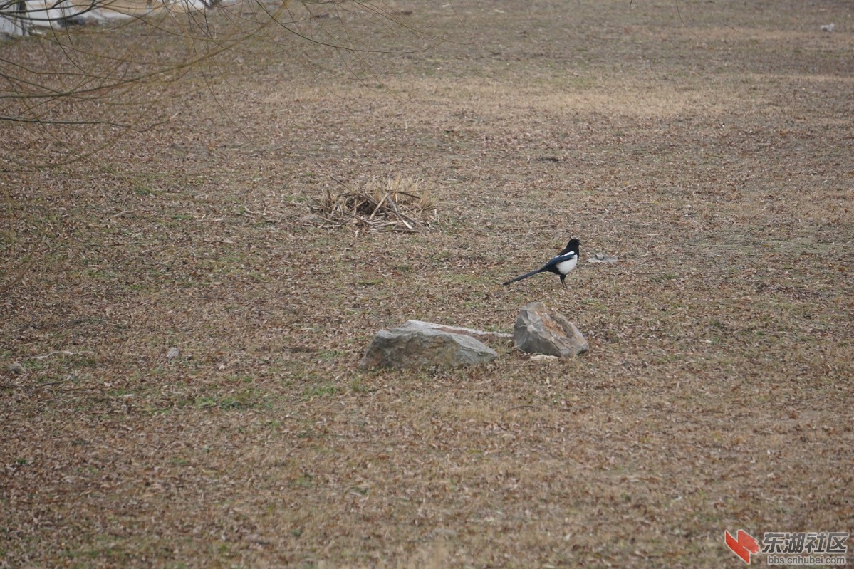 DSC03911.JPG