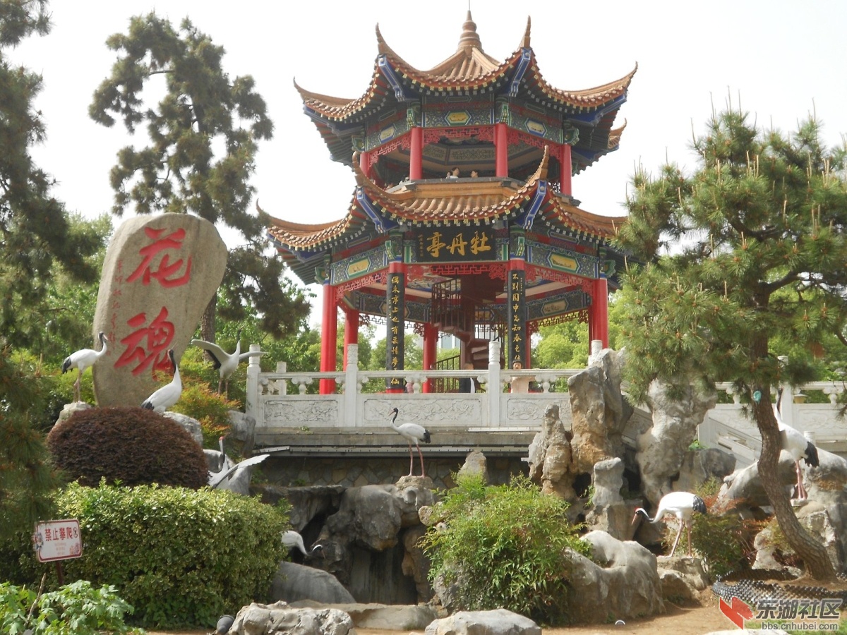 DSCN1588.JPG