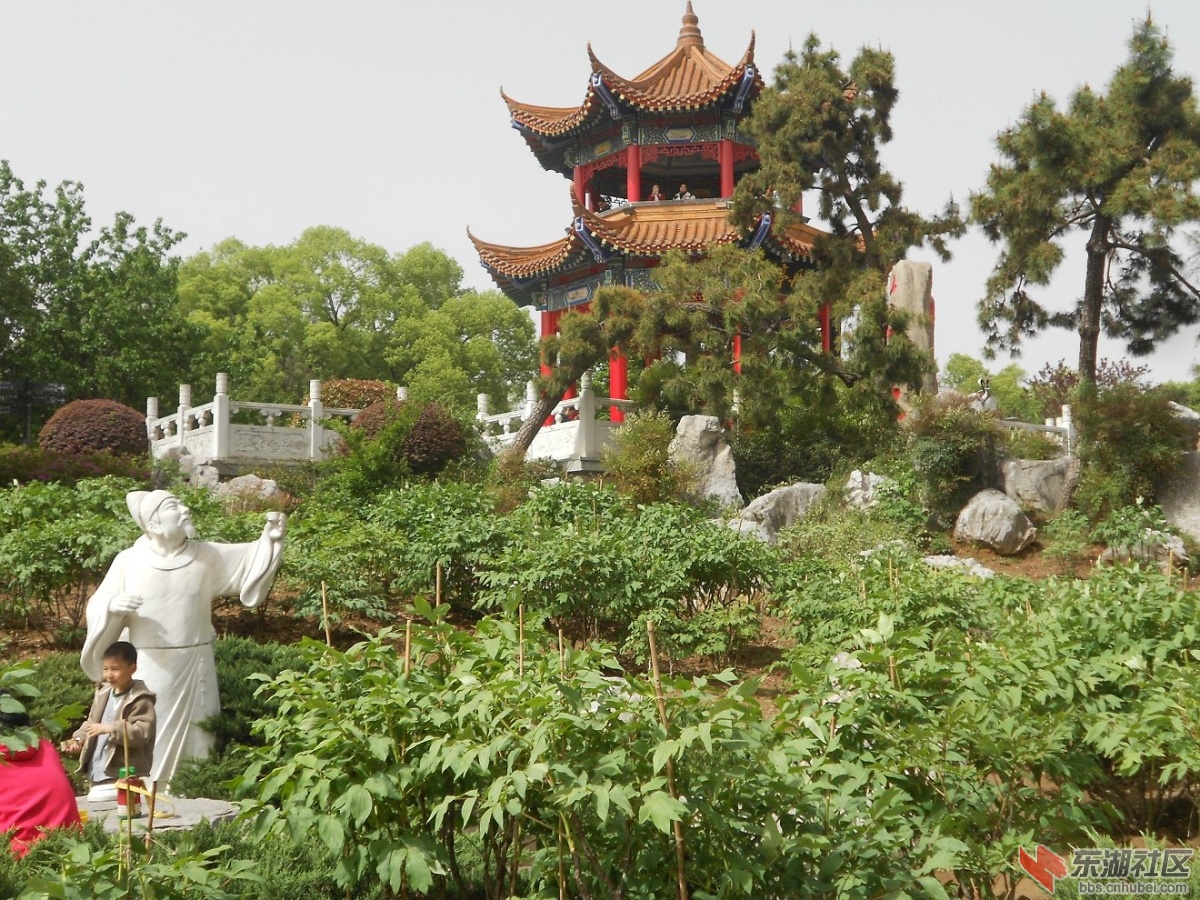 DSCN1576.JPG
