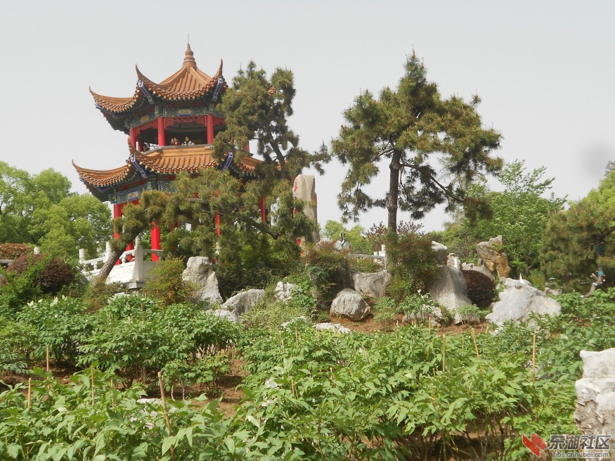 DSCN1577.JPG