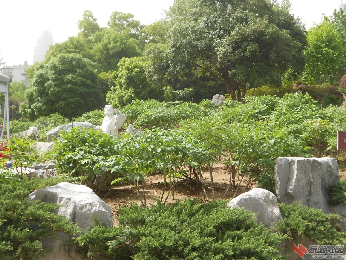 DSCN1578.JPG